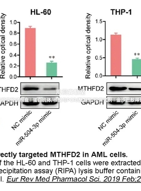 APExBIO即用型蛋白酶抑制剂混合浓缩原液 100X,相当于Sigma P8340