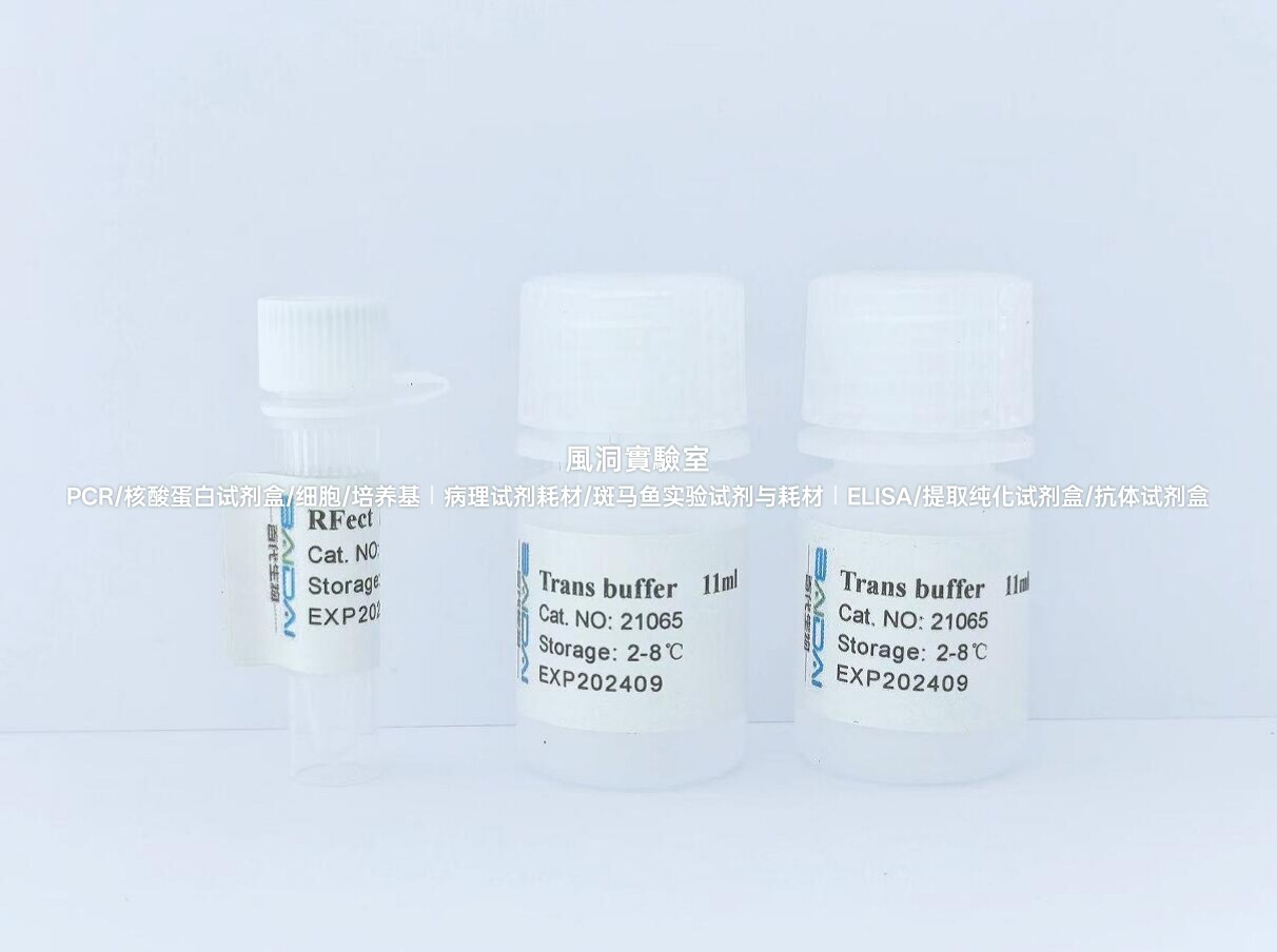 RFect巨噬细胞质粒DNA转染试剂盒,可高效转染巨噬细胞和单核细胞