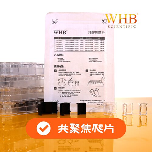 WHB透明黑色灭菌TC处理24/12/6孔板共聚焦爬片Φ10mmΦ17mmΦ30mm