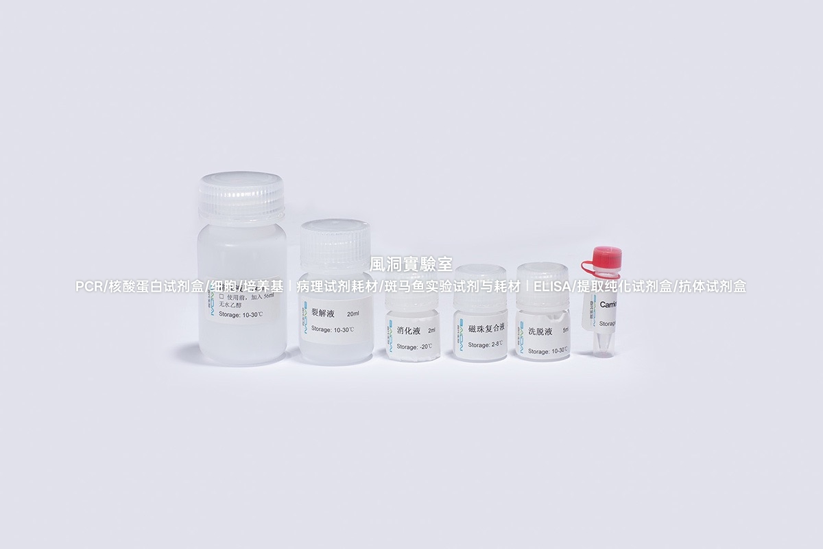 BIOG血清/血浆DNA磁珠法提取试剂盒，专用提取样本游离DNA(cfDNA)