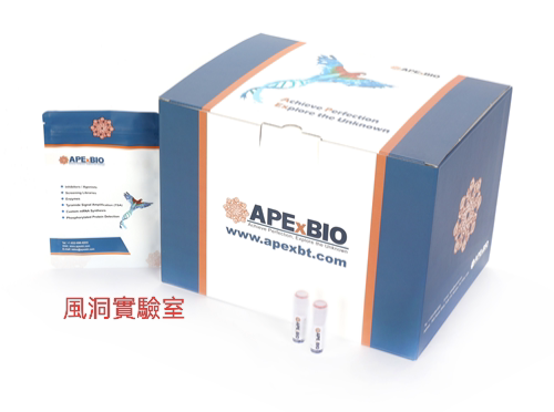 APExBIO 预染色蛋白质标记物(Triple color,EDTA free,10-250kDa)