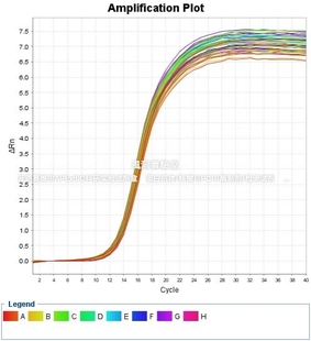 umibio®miRNA加尾法逆转录试剂盒适用短片段RNA加尾法逆转录反应