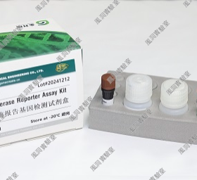 金开瑞Double-Luciferase Reporter双荧光素酶报告基因检测试剂盒