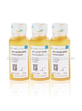 无外泌体血清Exosome Depleted FBS 细胞体外增殖培养/外泌体研究