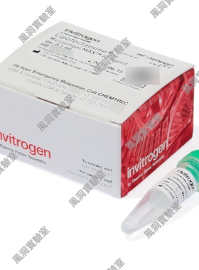 Invitrogen™赛默飞Lipofectamine™MessengerMAX™转染试剂,高效