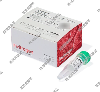 Invitrogen™赛默飞Lipofectamine™MessengerMAX™转染试剂,高效