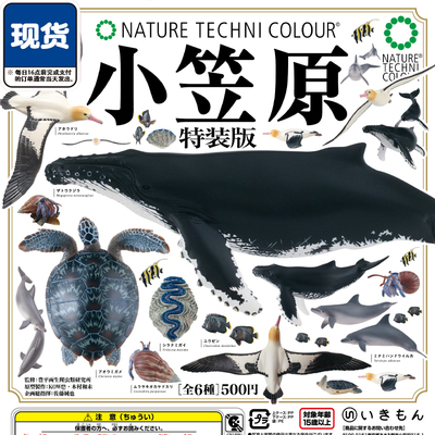 小笠原动物图鉴特装版扭蛋 IKIMON座头鲸短尾信天翁 现货