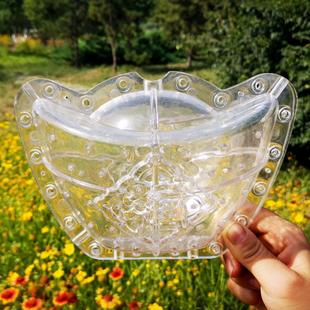 大号福字元宝西瓜甜瓜哈密瓜飞龙形心形水果定型生长塑料模具新品