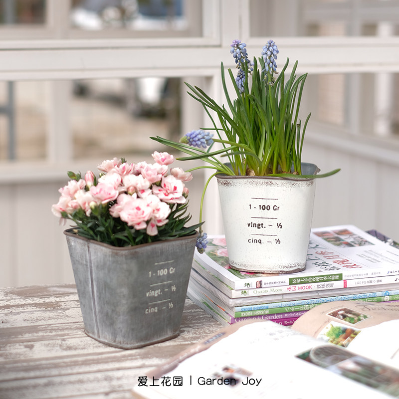 爱上花园|园艺杂货 铁艺做旧铁皮花盒 水杯花桶日系刻度杯100,鲜花速递/花卉仿真/绿植园艺,花盆,淘宝优惠券,粉丝福利购,淘宝优惠卷