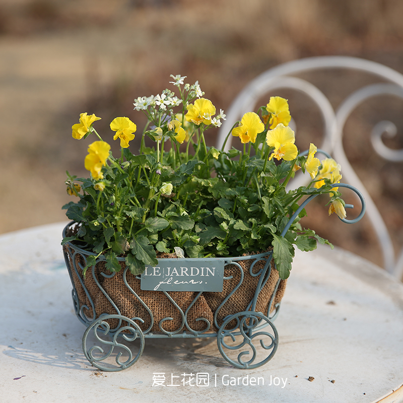 爱上花园法式铁艺推车花园装饰杂货花园摆件种花手工迷你铁艺推车