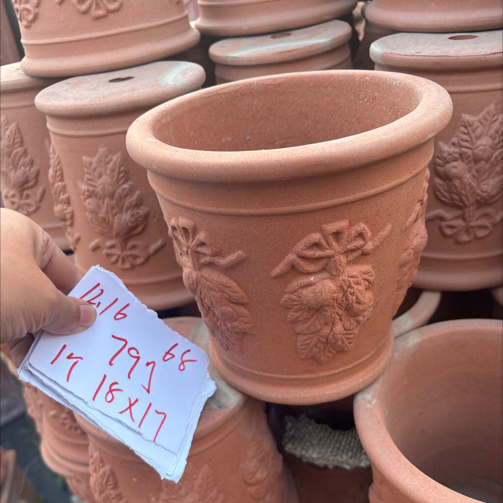 79号1个12.16下，一口价 68荷兰