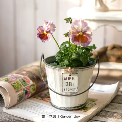 庭院花园装饰铁艺盆器