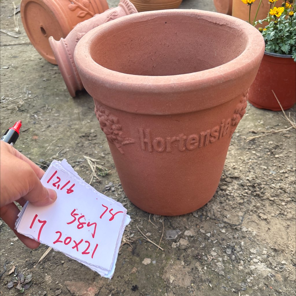 58号1个12.16下，一口价 78荷兰