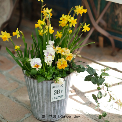 庭院花园装饰铁艺盆器