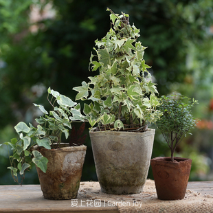 方口盆 红陶多肉植物花盆粗陶泥瓦盆15陶瓷绿植花卉盆栽简约透气