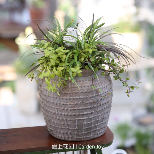 爱上花园 手压红陶做旧摆件花园装饰家居摆件做旧红陶珠珠罐 无孔