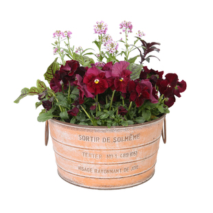 爱上花园 YM薄铁皮易变形铁艺做旧花盆花盒三线圆环花盆489南瓜色