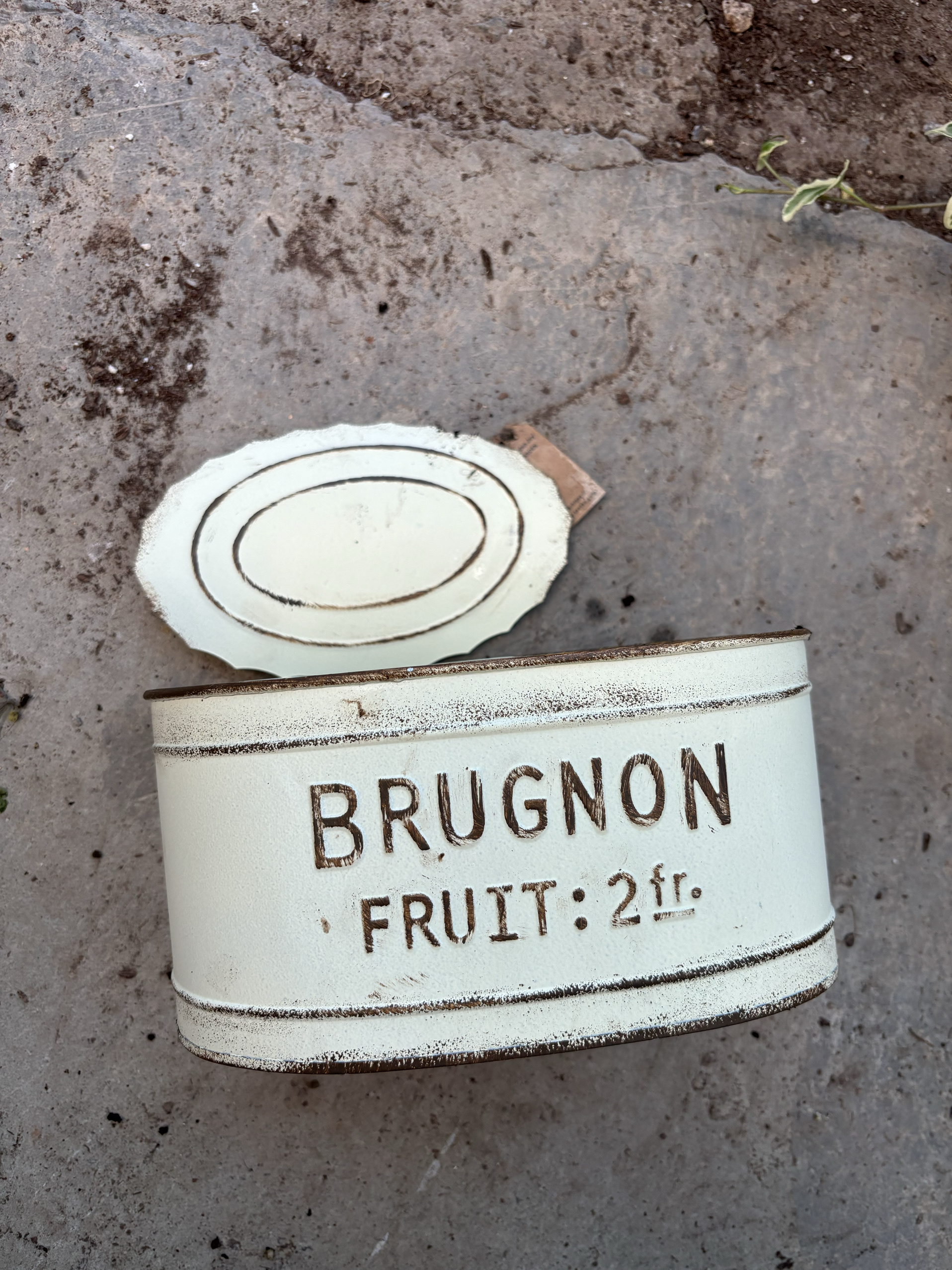 爱上花园丨园艺杂货 花园庭院装饰摆件 铁皮椭圆罐头花盆