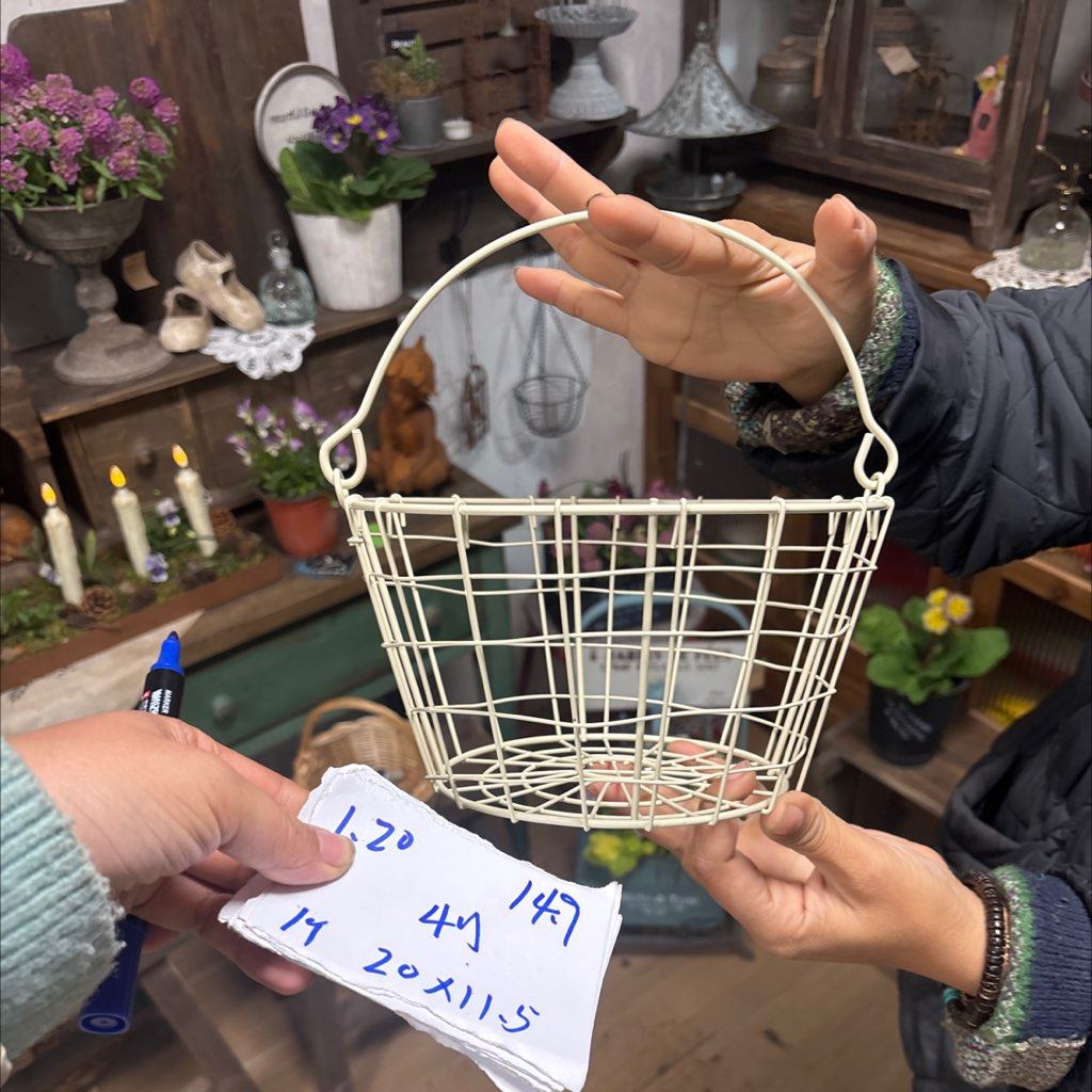 4号1个1.20下，一口价 14.9,家居饰品,花盆,淘宝优惠券,粉丝福利购,淘宝优惠卷