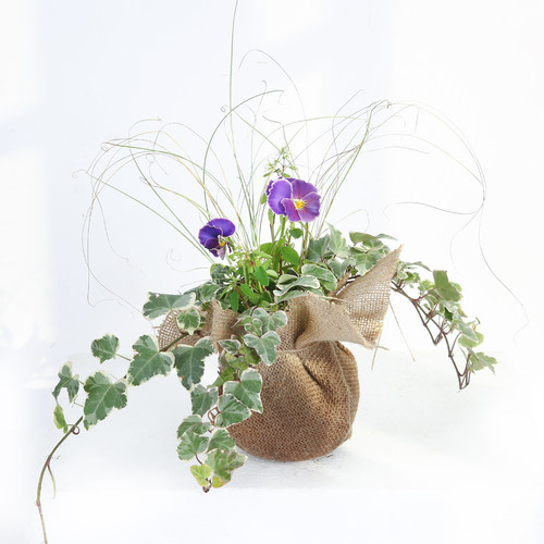 爱上花园绿植组合花束装饰摆件好养活盆栽麻布组合盆栽花束一口价