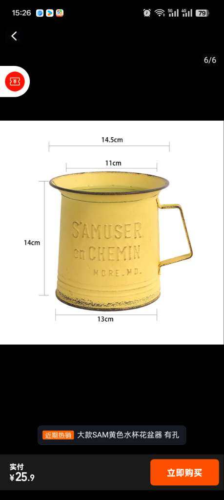 47号1.23一个下午一口价23.9大号   本店满30包邮,家居饰品,花盆,淘宝优惠券,粉丝福利购,淘宝优惠卷