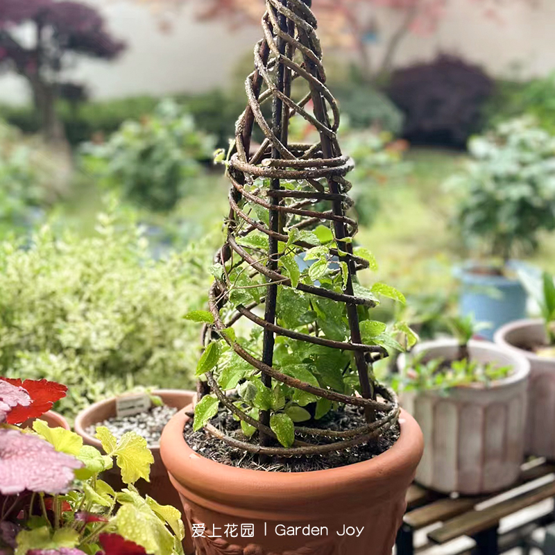 手工带皮柳编迷你爬藤架