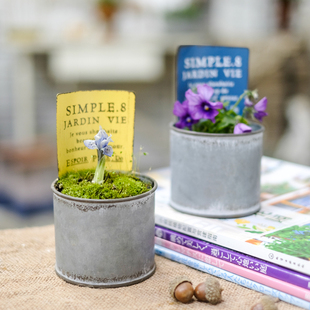 爱上花园 园艺杂货 铁艺铁皮铲子 圆桶插牌SIMPLICITE.8花盒