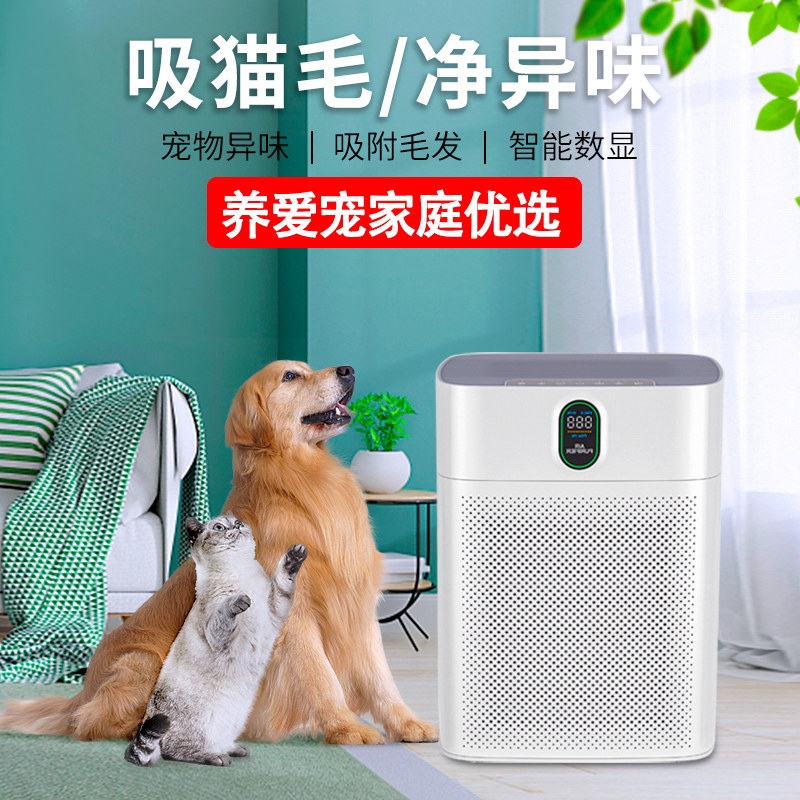 宠物专用空气清净机 除毛除臭去甲醛 给30-50坪家的高效能净化设
