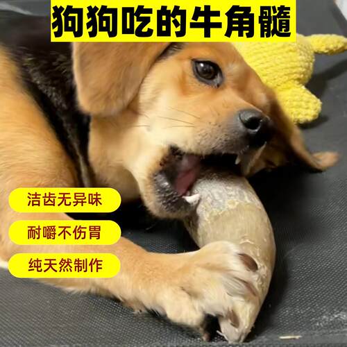 牛角髓风干磨牙洁齿耐咬