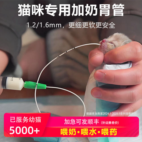 「宠生活」猫咪宠物胃管