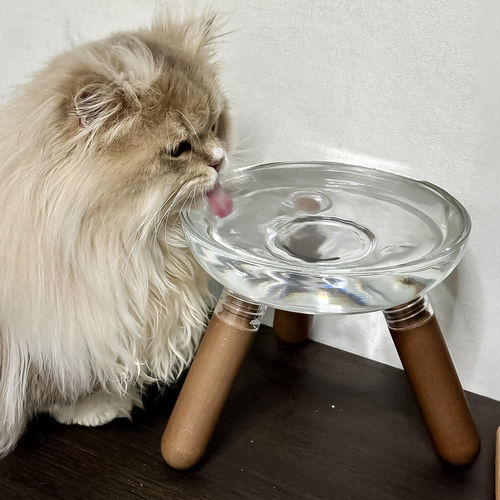「宠生活」三角支撑猫碗