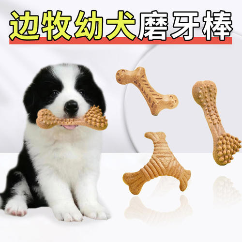 「宠生活」边境牧羊犬专