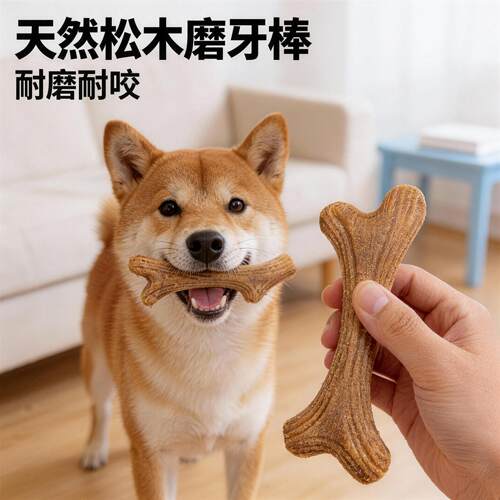 「宠生活」贵为GiGwi狗狗