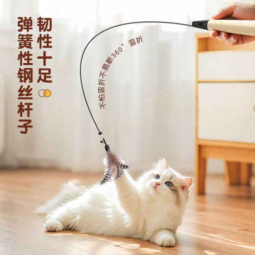 「宠生活」逗猫棒猫咪玩