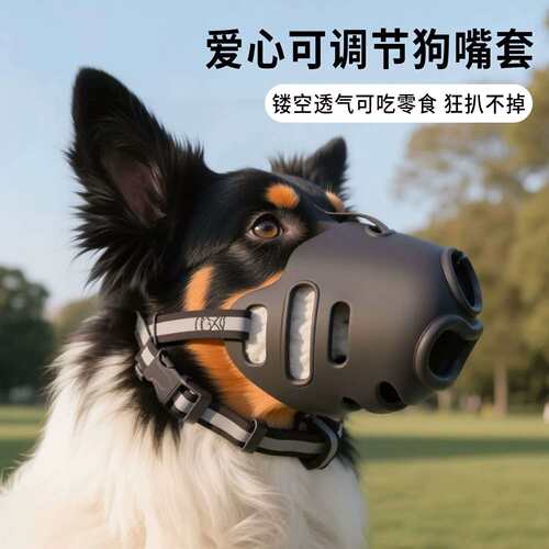 宠生活狗狗防咬可调节爱心反光