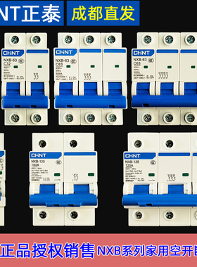 总闸家用正泰1p2p3p4p125a32a空气开关小型空开断路器NXB-63a电闸