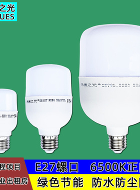 灯具灯泡LED球泡灯节能灯e27螺口灯饰9w13w18w28w38w48w家用灯泡