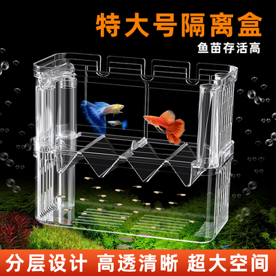 特大号隔离盒孔雀鱼繁殖盒小鱼缸鱼苗幼鱼母鱼凤尾鱼苗鱼缸贴壁式