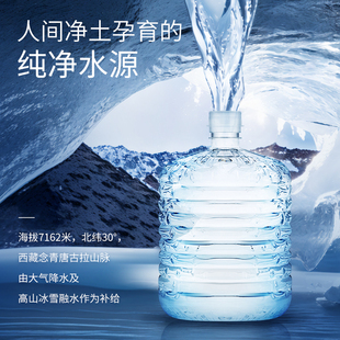 卓玛泉西藏天然水12升12L 泡茶饮用非矿泉 1桶纯净母婴水大桶装