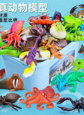 仿真软胶硅胶章鱼刺河豚减压毛毛虫玩具青蛙柔软模型动物儿童礼物