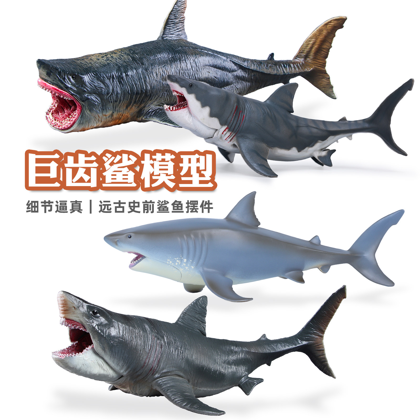 仿真动海洋生物巨齿鲨玩具模型图片