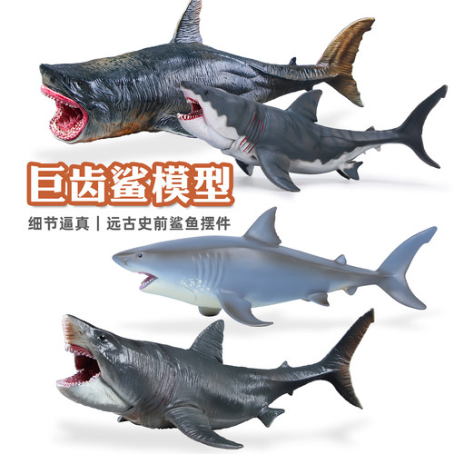 仿真动海洋生物巨齿鲨玩具模型