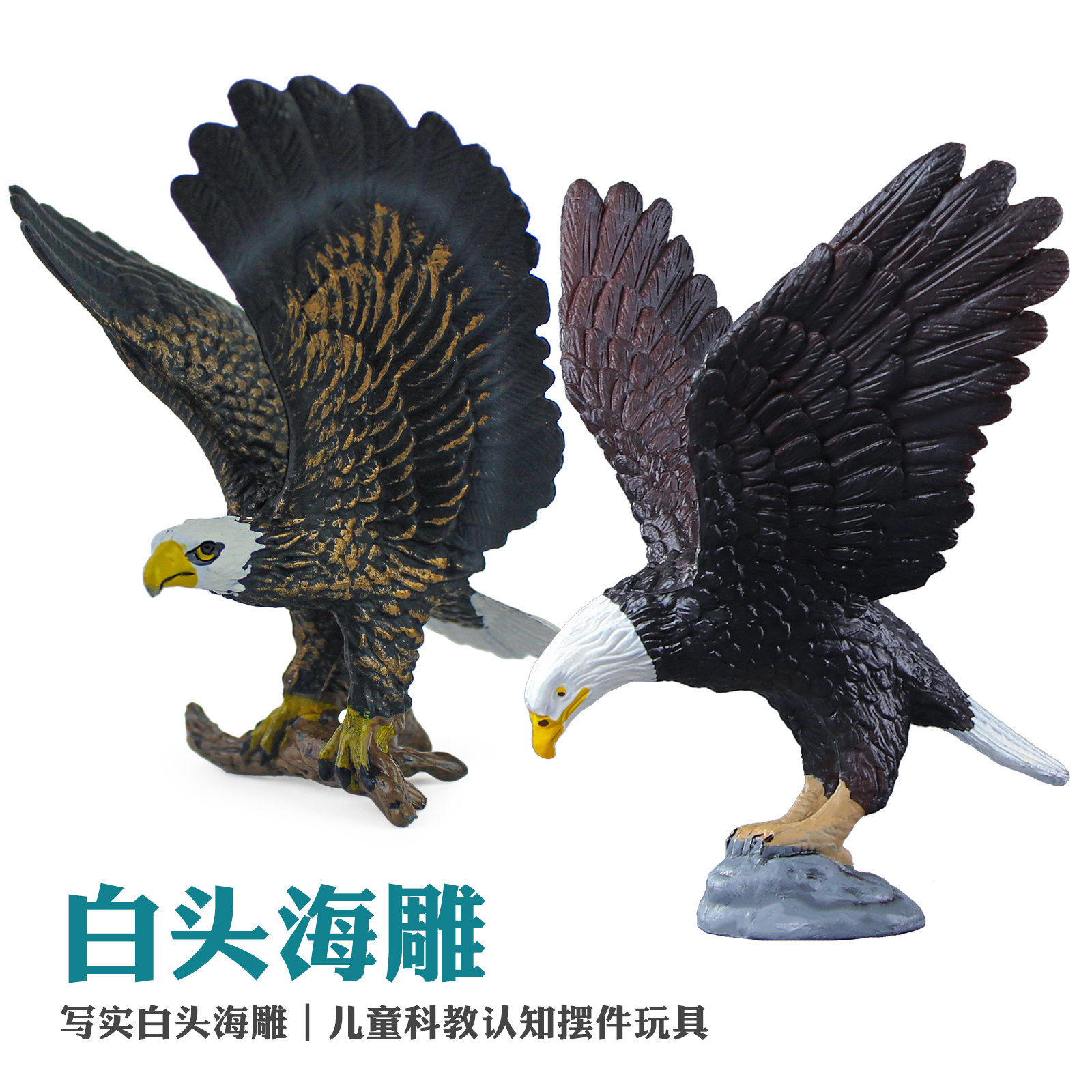 仿真野生动物老鹰模型白头海雕鸟类玩具塑料科教认知摆件儿童礼物