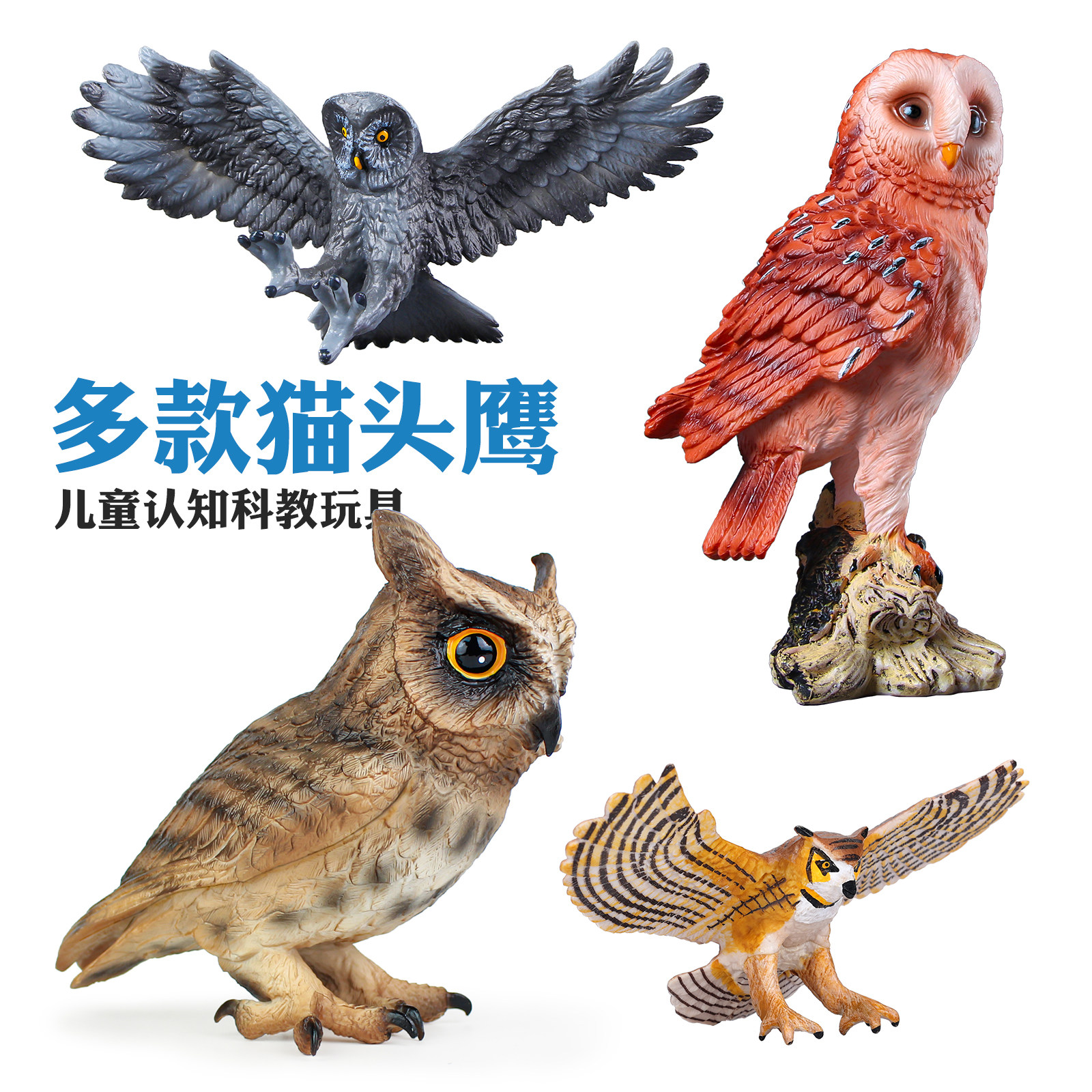 仿真动物模型猫头鹰玩具鸮枭角鸮雕鸮鸟类玩具儿童科教摆件礼物