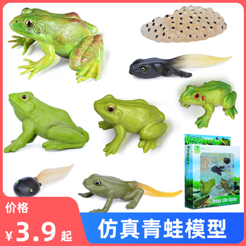 仿真青蛙塑胶模型玩具