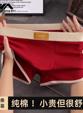 2025新款纯棉男士红内裤男款运动平角短裤男式个性透气男生四角裤