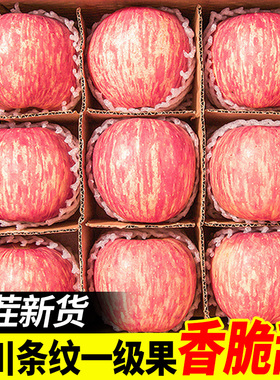 正宗陕西洛川苹果水果新鲜当季整箱红富士冰糖心一级脆甜10包邮斤