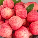 平斤 包邮 苹果水果新鲜水果当季 整箱陕西洛川正宗红富士一级脆甜10