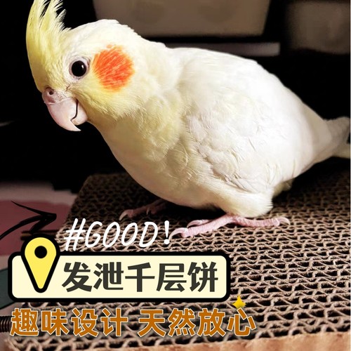 鸟千层饼窝垫材啃咬发泄站板