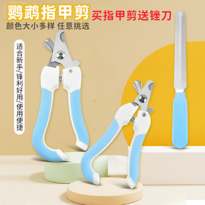 鹦鹉指甲剪爪子嘴尖鸟用